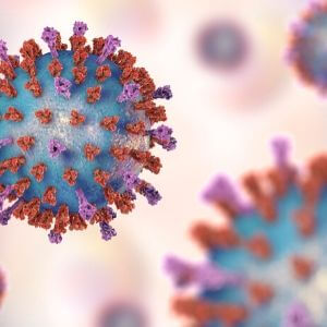corona virus