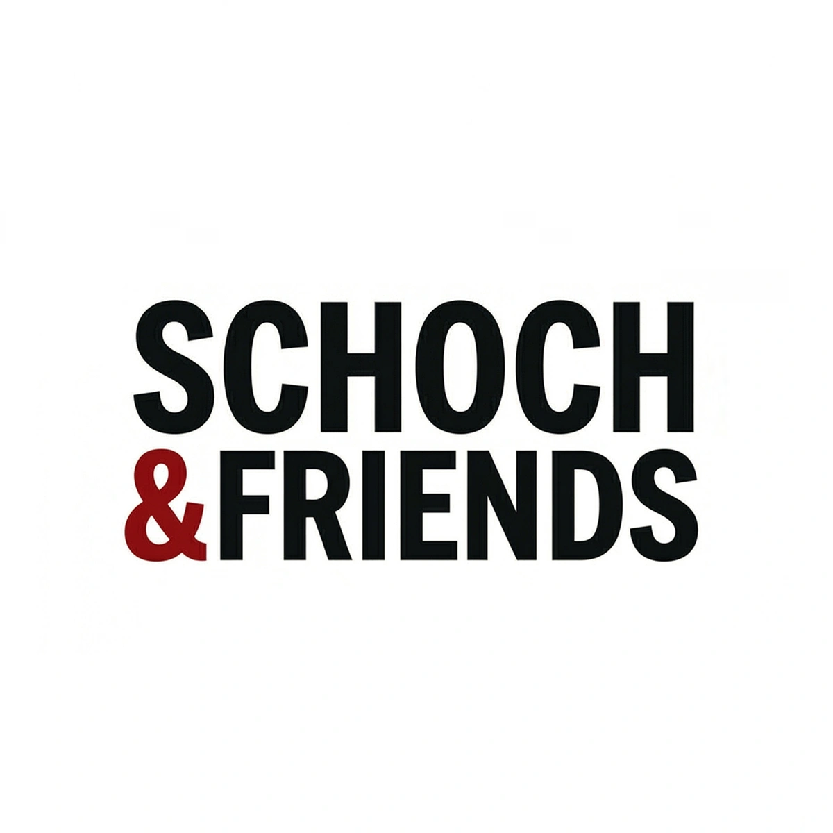 Logo der SEO Agentur Schoch and Friends